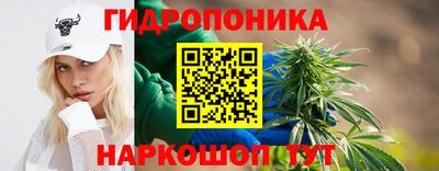 кокс Гусев