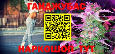 гидропоника Гусиноозёрск