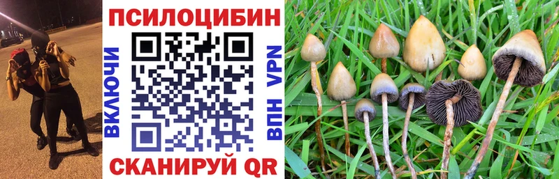 нарко площадка официальный сайт  Мыски  Галлюциногенные грибы Psilocybe  купить  цена 