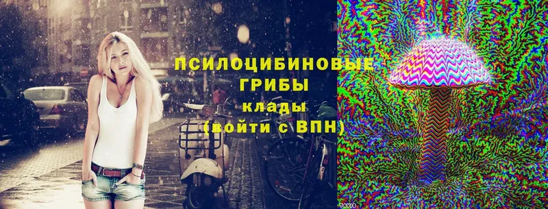 Галлюциногенные грибы Psilocybine cubensis  гидра tor  Мыски 