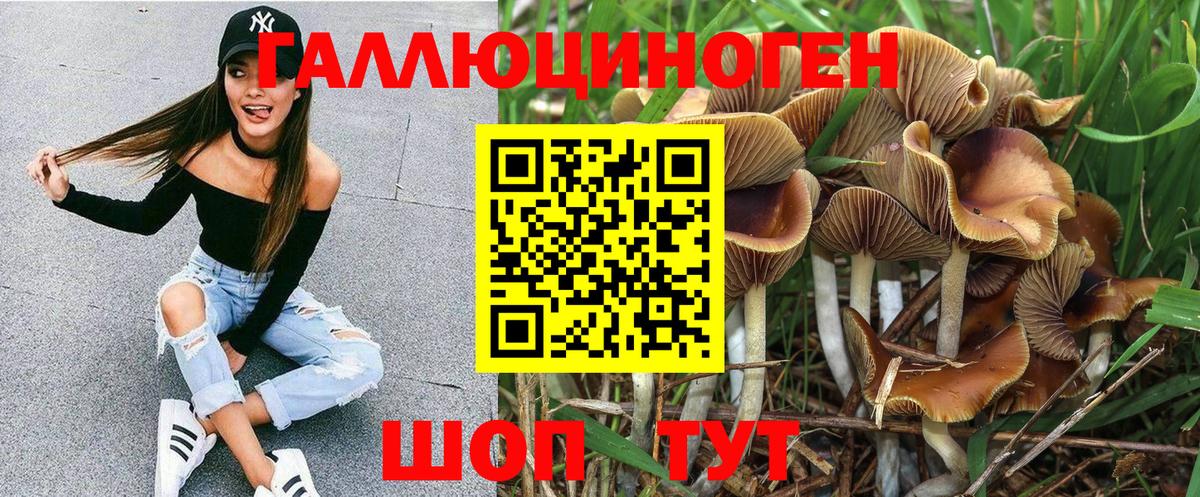 Псилоцибиновые грибы Psilocybine cubensis  Галлюциногенные грибы мухоморы  Мыски  Вход с VPN 