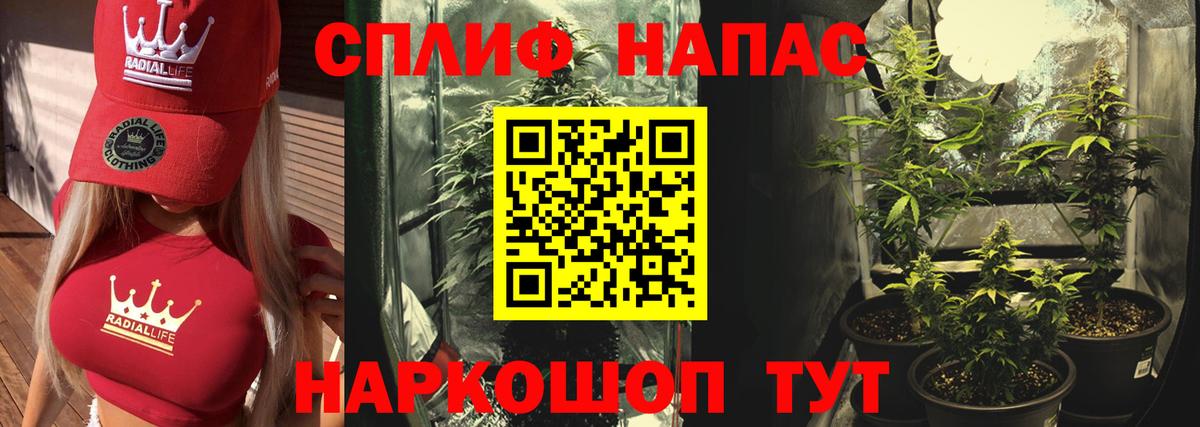 Каннабис гибрид Мыски